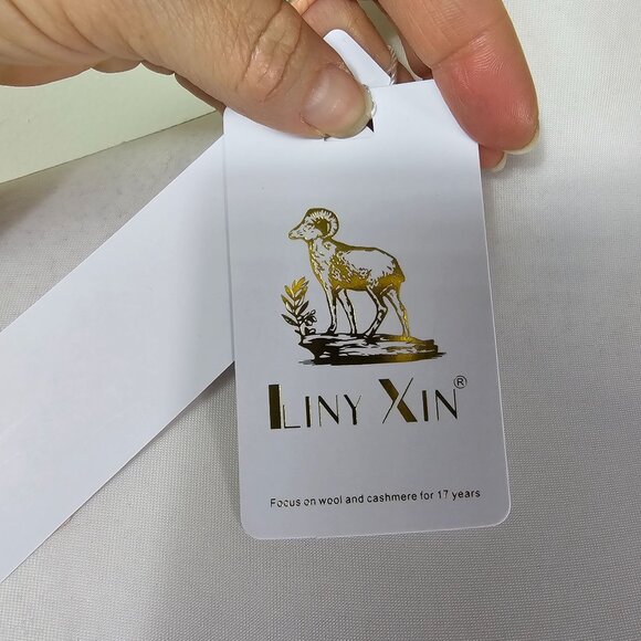 Liny Xin Womens V-Neck Superfine Merino Wool Sweater Sz M Blue Academia Preppy - Picture 7 of 10